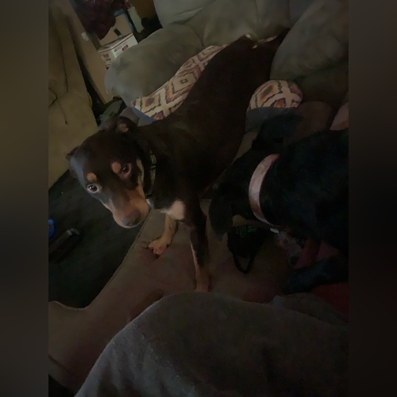 Still here! - Picture 2 of 12